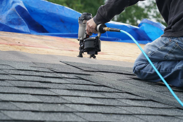 Best Roof Maintenance Services  in Pinch, WV