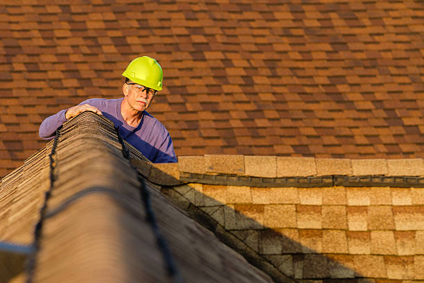 Best Roof Maintenance Services  in Pinch, WV
